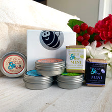 Load image into Gallery viewer, 2025 Christmas Sampler