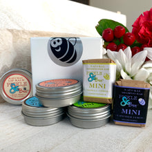 Load image into Gallery viewer, 2025 Christmas Sampler
