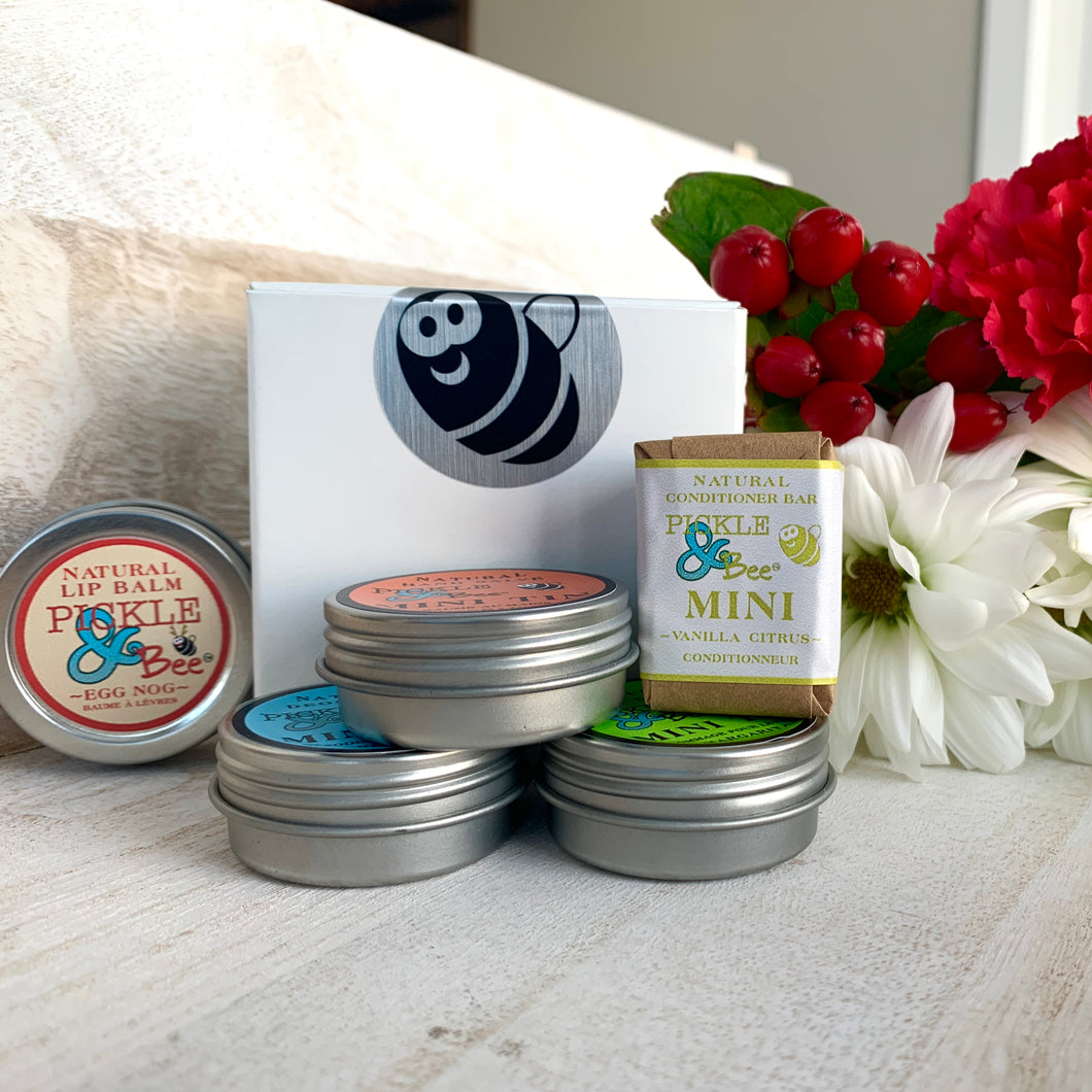 2025 Christmas Sampler